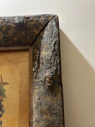 Coppia Cornici Legno con Stampa Uva