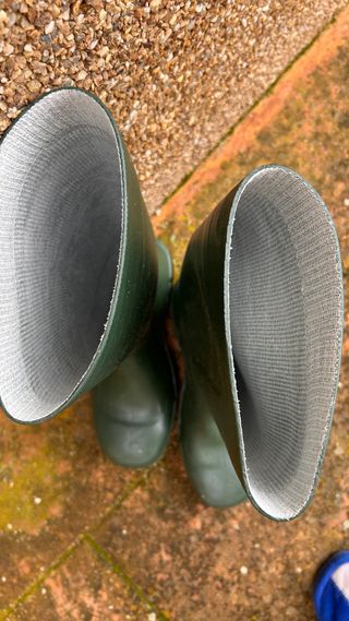 Botas de agua Dunlop verdes