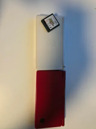 Nintendo DS Rojo y Blanco