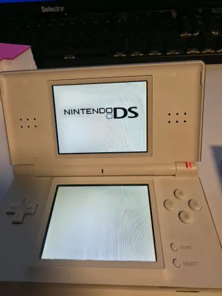 Nintendo DS Rojo y Blanco