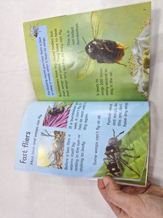 Libro infantil "Bees and Wasps"