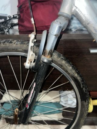 Bicicleta de montaña plateada