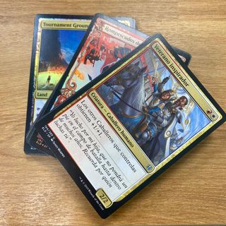 Mazzo Cavalieri Magic MTG (60 carte)