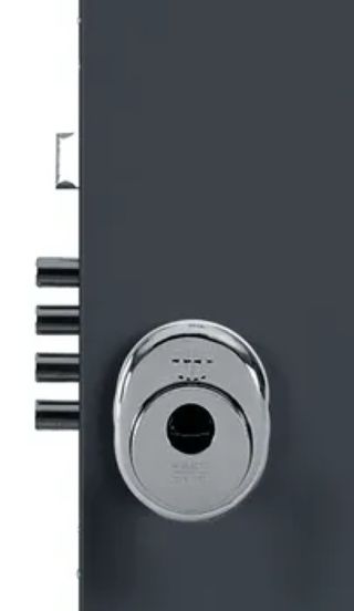 Puerta de entrada metálica con fijo lateral gris