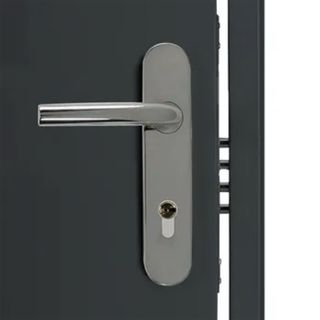 Puerta de entrada metálica con fijo lateral gris