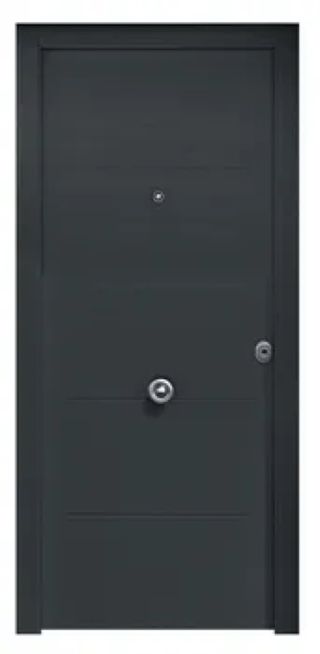 Puerta de entrada metálica con fijo lateral gris