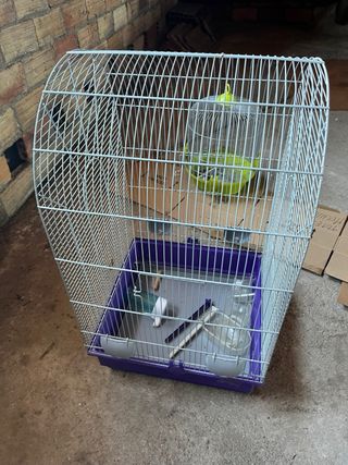 Jaula grande para pájaros