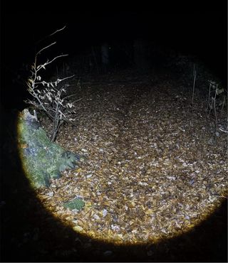 Linterna frontal con 12 modos y sensor, IPX7