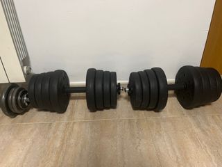Mancuernas ajustables con discos (14kg cada una)