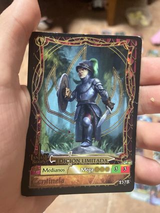 Lote Cartas Fantasy Riders