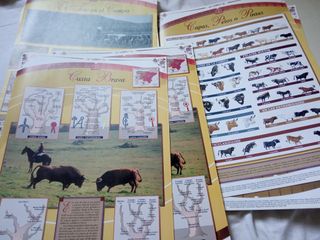 Coleccionable La Lidia