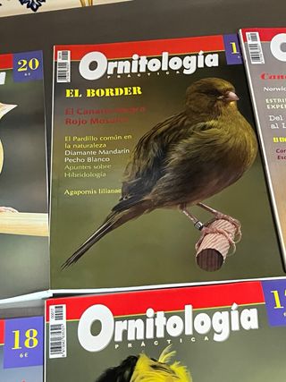 Revistas en volumenes hasta la 104 nuevas