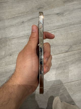 iPhone 12 Pro Max 256GB