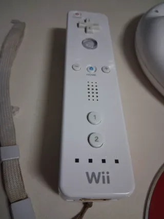 Nintendo Wii Play Motion gioco e accessori