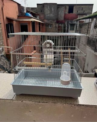 Gabbia per uccelli