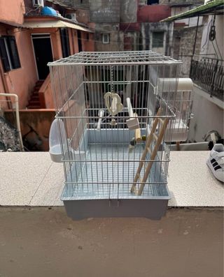 Gabbia per uccelli