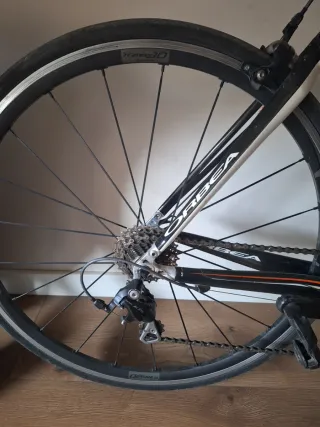 Bicicleta Orbea Carbono