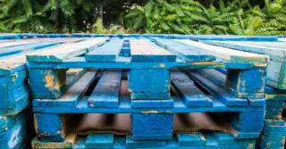 Palets de madera azules en buen estado