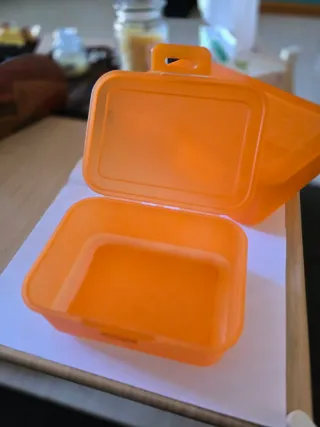 2 Contenitori Plastica Arancioni