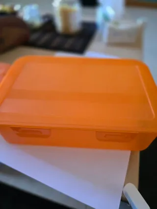 2 Contenitori Plastica Arancioni