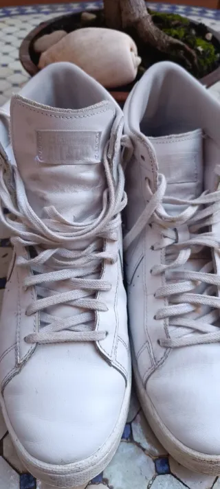 Converse Pro Leather Hi Talla 43 Blancas