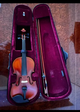 Violín y arco con funda