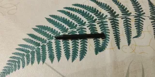 Nintendo 2DS XL Edizione Pokeball Rossa