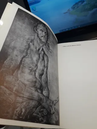 Vida y arte de Alberto Durero - Erwin Panofsky