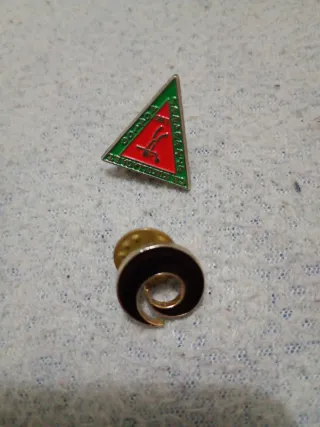 Lote 11 Pins Colección Variada