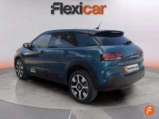 Citroën C4 Cactus PureTech 96kW (130CV) S&S Shine