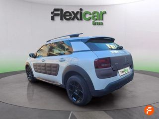 Citroën C4 Cactus PureTech 81KW (110CV) S&S Feel