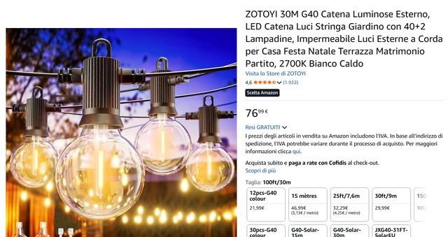 Cadena de luces LED ZOTOYI 30M para exterior G40