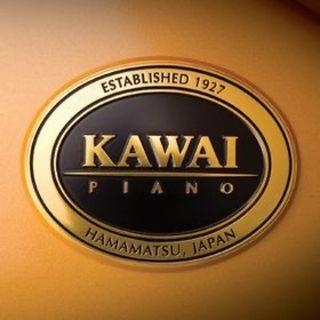 Reparación teclas pegadas Kawai CA67