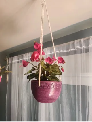 2 Macetas Colgantes con Plantas Artificiales