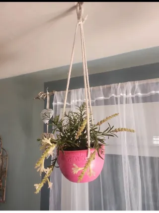 2 Macetas Colgantes con Plantas Artificiales