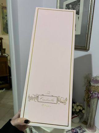 Bambola Tonner Cindarella Basic Brunette NRFB