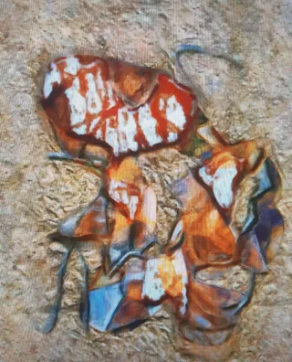 Colección Digital Cuadros Multicolor