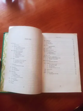 Libro antiguo: Mil ideas para las Madres