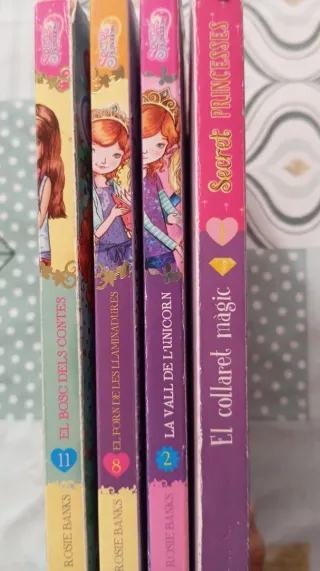 Libros lectura infantil-juvenil- Secret Kingdom