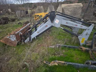 Pala Tenias tenias evolution