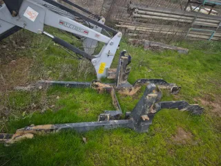 Pala Tenias tenias evolution