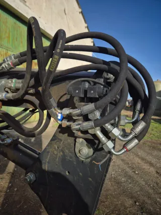 Pala Tenias tenias evolution