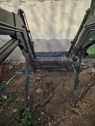 Pala Tenias tenias evolution