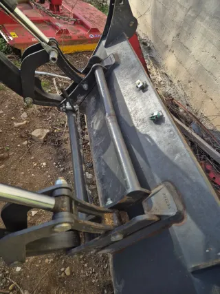 Pala Tenias tenias evolution