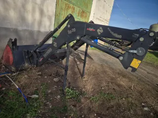 Pala Tenias tenias evolution