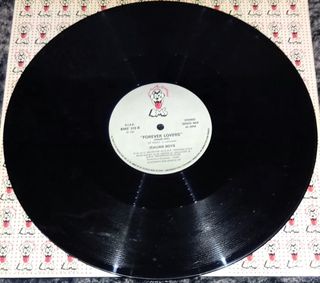 Vinile 33 giri Italian Boys Forever Lovers RARO
