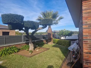 Servicios de jardineria y pintura