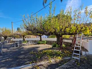 Servicios de jardineria y pintura