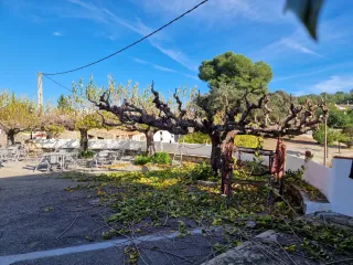 Servicios de jardineria y pintura