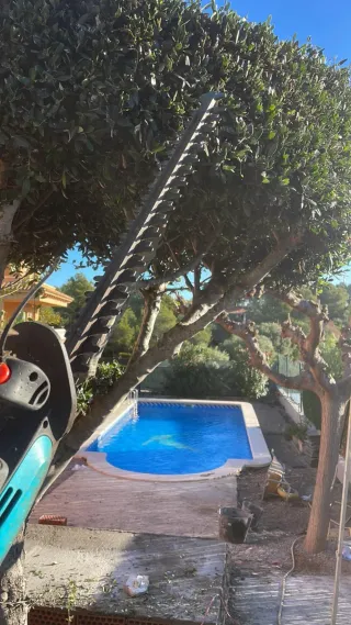 Servicios de jardineria y pintura